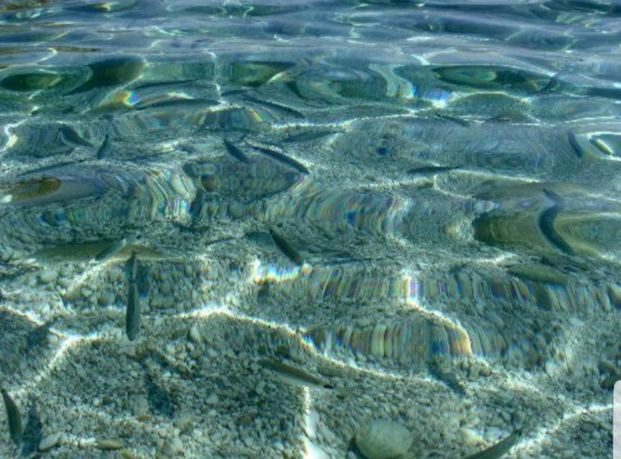 Casa Vacanze Sea-Life Alcamo Marina Exteriér fotografie